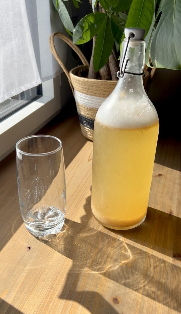 Aromatisation kéfir de fruits maison : pêche