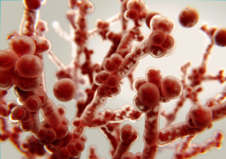 Troubles digestifs et candidose intestinale